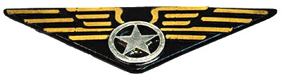 pilot wings badge